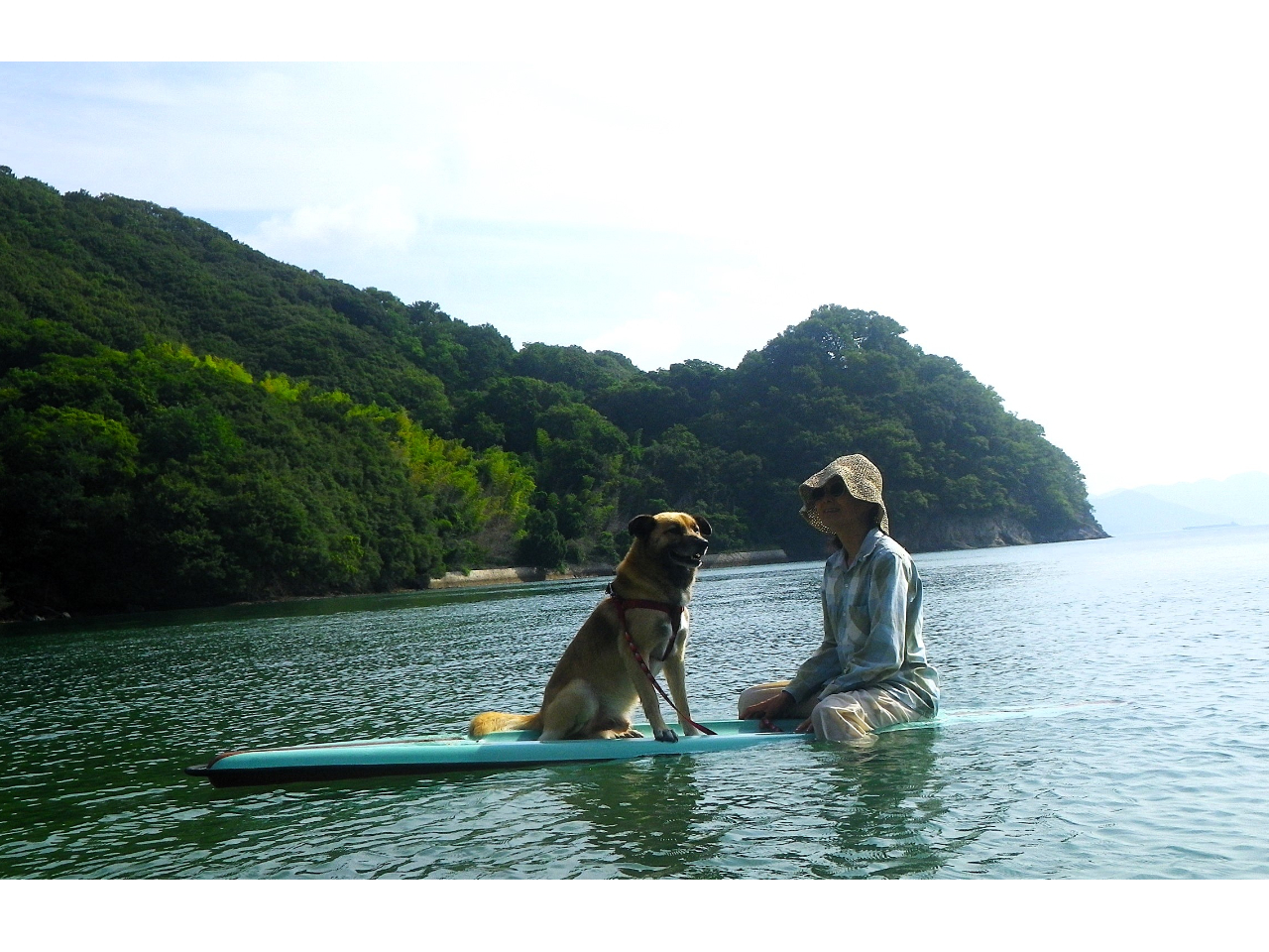 わんちゃんとも乗れます。