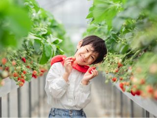 子どもさんが立ったまま狩れる高さの高設もあります♪