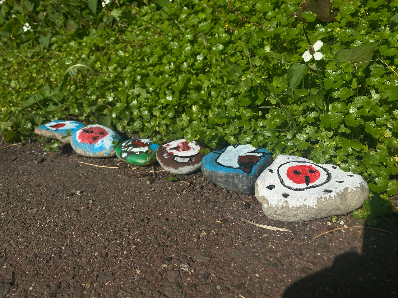 �g�L�̐X����