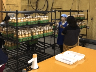 ご説明もお任せを♪