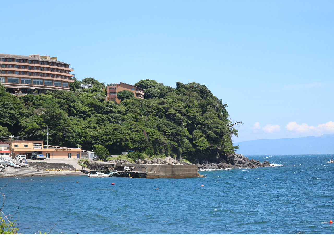 YĂ邾łA|Iȏ[𓾂܂B