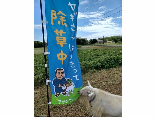 当園は広々と自然の中で体験が楽しめる様な空間です♪日頃の疲れを癒しにいらしてください★