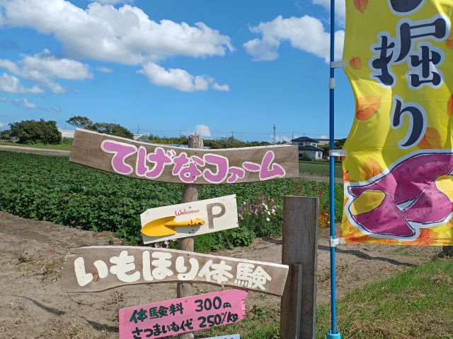 当園は広々と自然の中で体験が楽しめる様な空間です♪日頃の疲れを癒しにいらしてください★