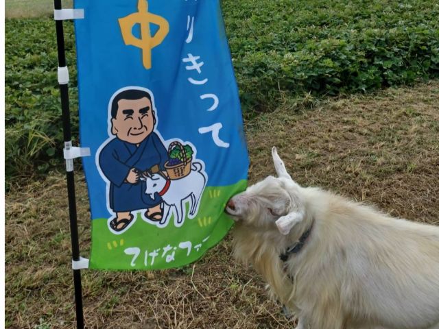 登園は広々と自然の中で体験が楽しめる空間です♪日頃の疲れを癒やしにいらしてください★