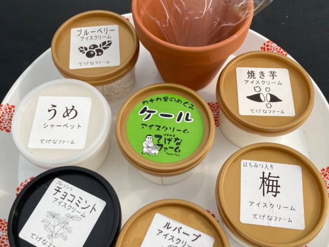てげなファームの素材もふんだんに活用したアイスクリーム!体験後にお一人様へおひとつプレゼントします♪