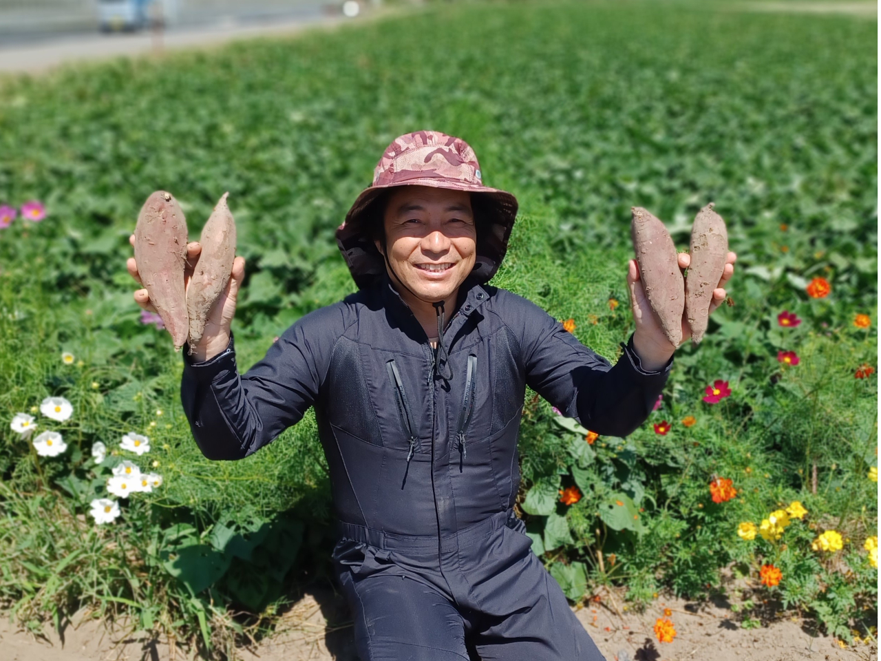 【千葉】お芋好き必見!■5名様まで たくさん収穫したい方向け■18キロ 6000...