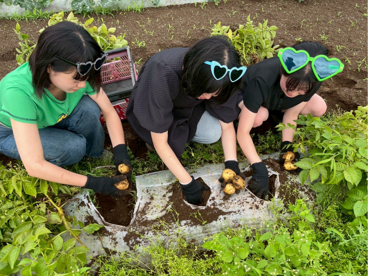 �Ђ΂�̖����̉��ł̂т̂т����@���