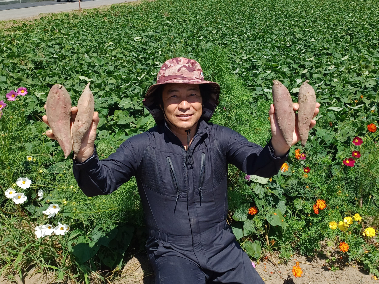 てげなファームでのびのびお芋ほり♪心よりお待ちしております★
