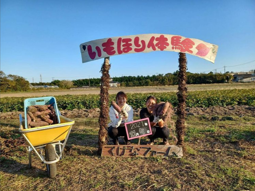 【千葉】\さつまいも堀り/■2名様まではこちらがお得!■2名様限定5キロ2500...