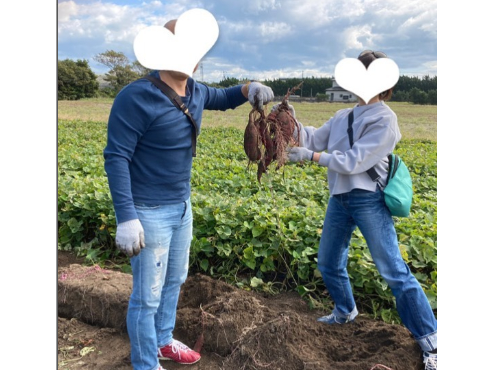 vwS͂ő̌ɂՂgĂʂ̎ny݂܂I