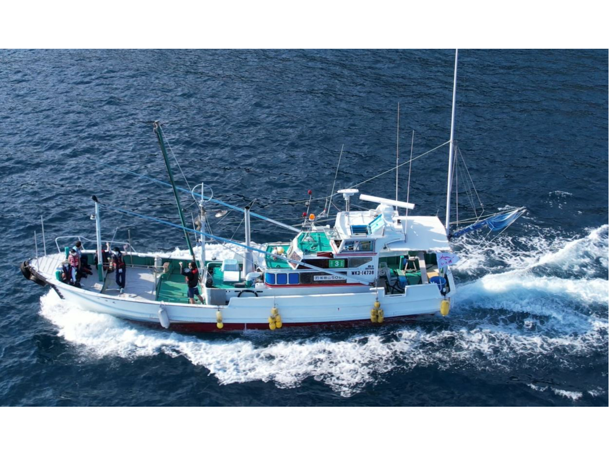 クルージングの様子