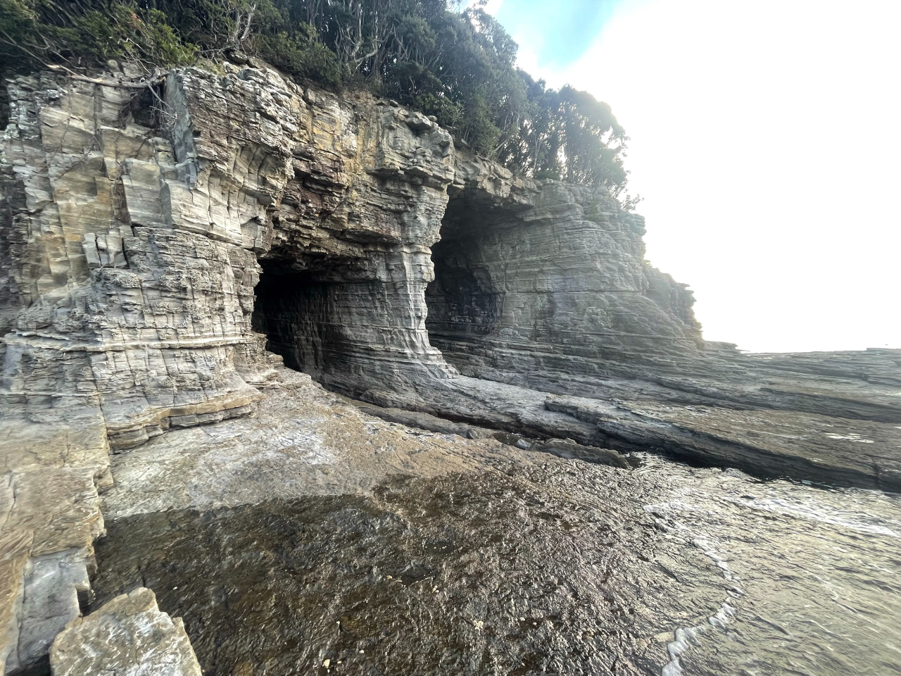 �C�����ǂ���΁A���ѓ��A�̉��܂ŗV�����܂��B�i�ʐ^�͗�����B�e�j