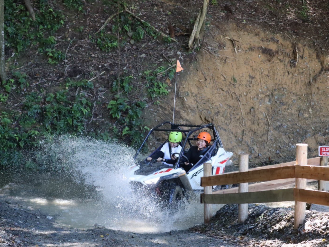 D͂˂₷ԗɂȂĂ܂̂ŉĂłꂭB