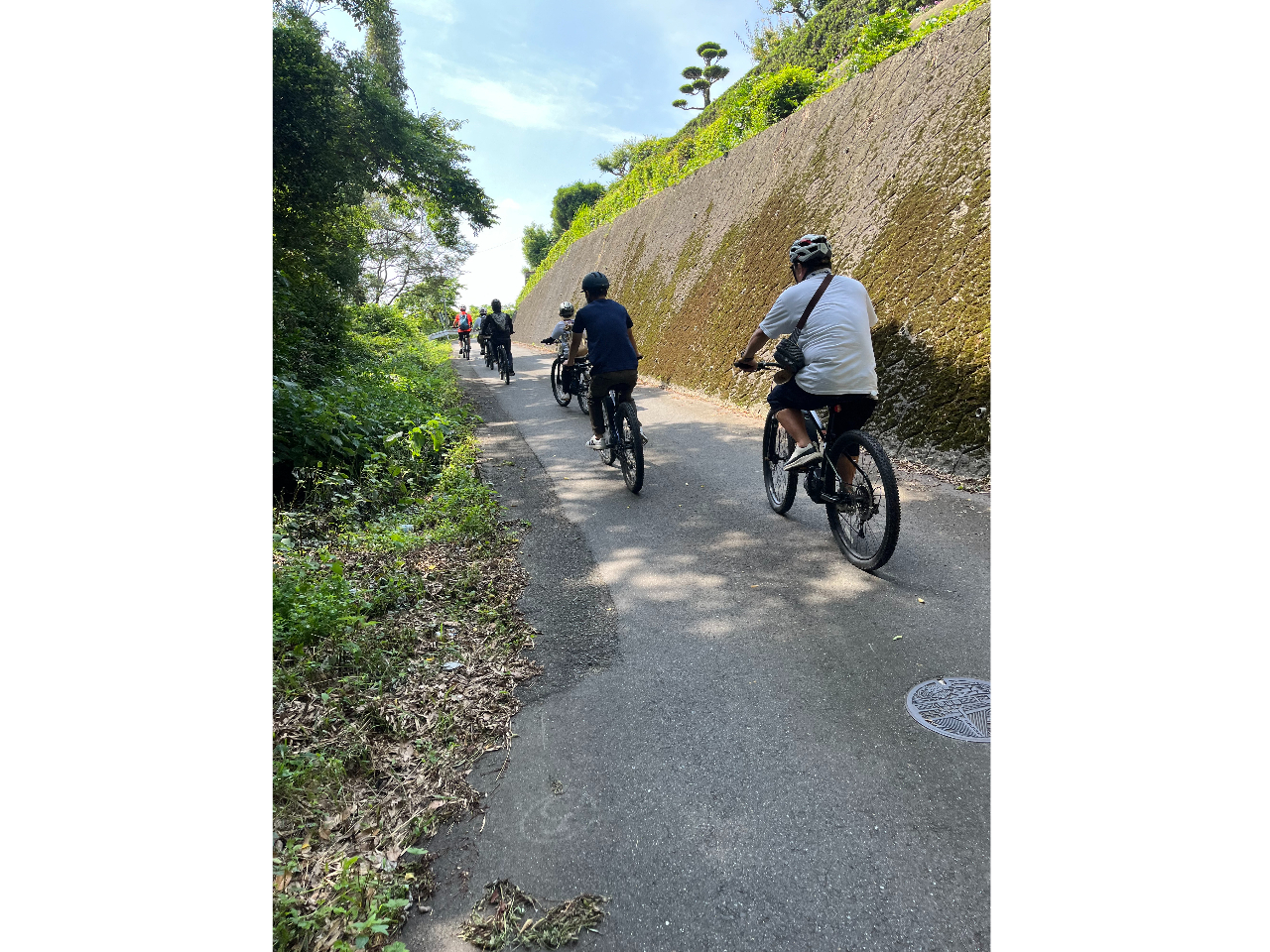 �d���A�V�X�g�t��MTB������⓹��A�b�v�_�E�������K�I