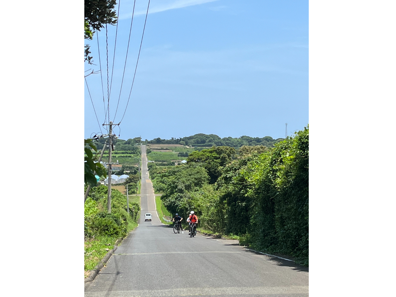 �d���A�V�X�g�t��MTB������⓹��A�b�v�_�E�������K��