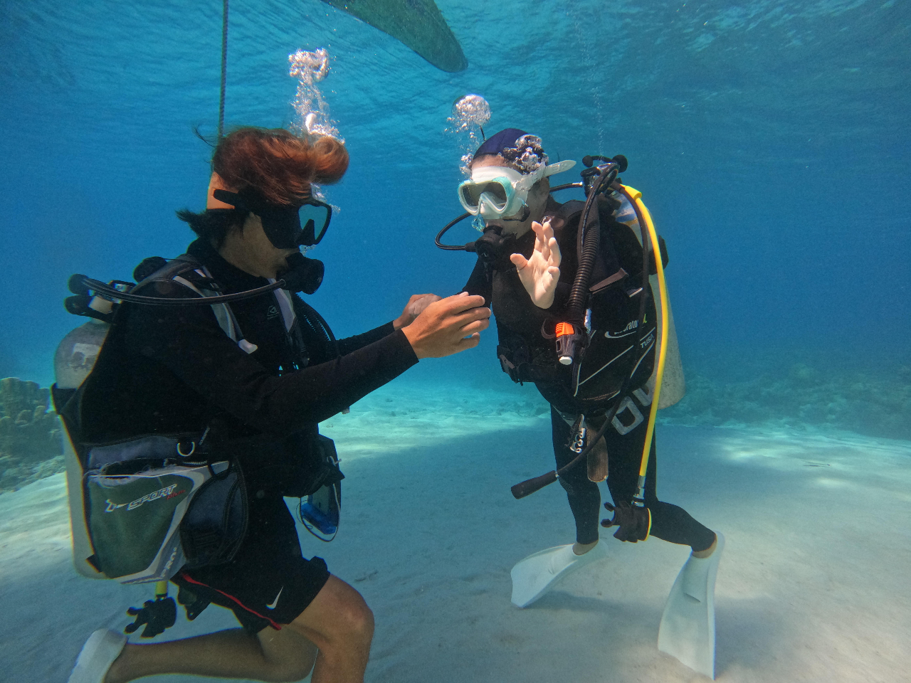 インストラクターのガイドの様子