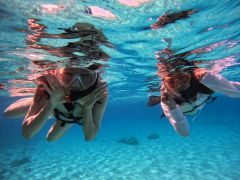 シュノーケリングの様子