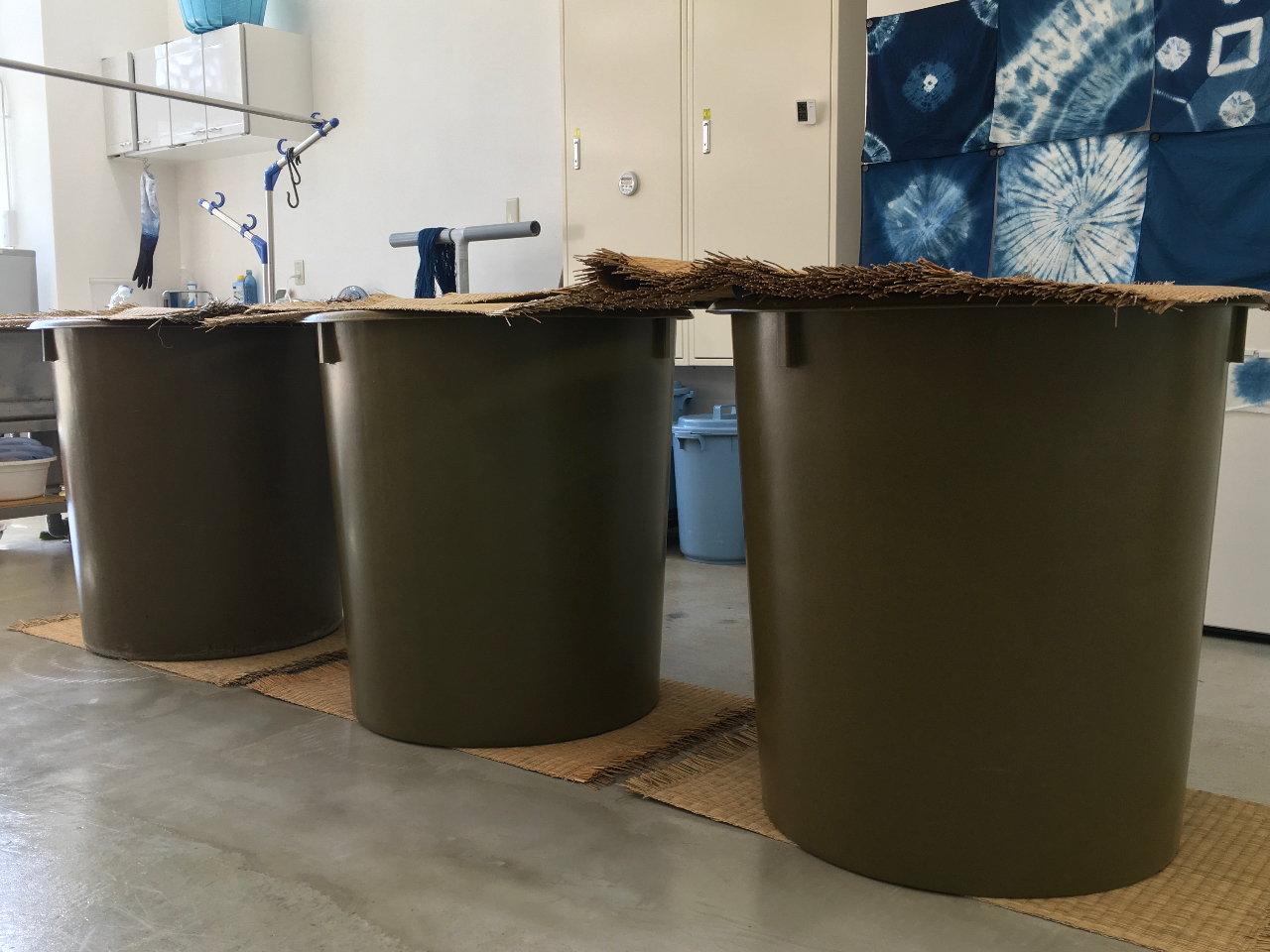 300bg̗P3@pӂĂ܂Bx6l̑̌\łB