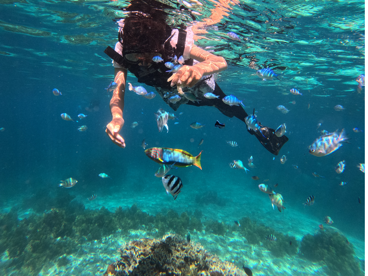 IvṼVm[POłBTSƂYȏꏊ܂łēv܂I