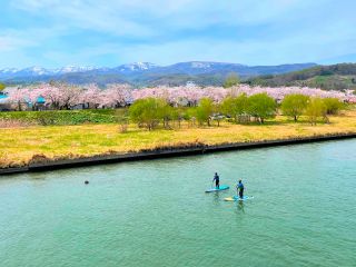 札幌から車で約1時間。余市駅からは徒歩7分ほど。桜の時期には500本程の桜が余市川に咲き誇ります。 (桜はおおよそ4月下旬?GW頃)