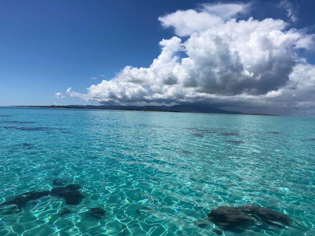 風がなくてべた凪の日は海底が観えるよ!!!