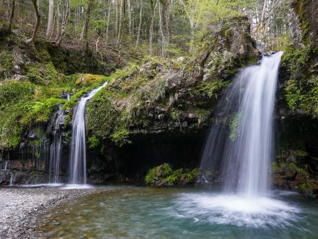 沢山の自然スポットもいけそうですね