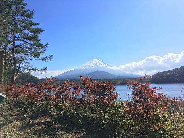 記念撮影は無料サービスです♪