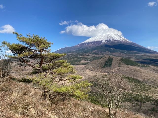 美しい自然があります。ゴミは必ず持ち帰りましょう!
