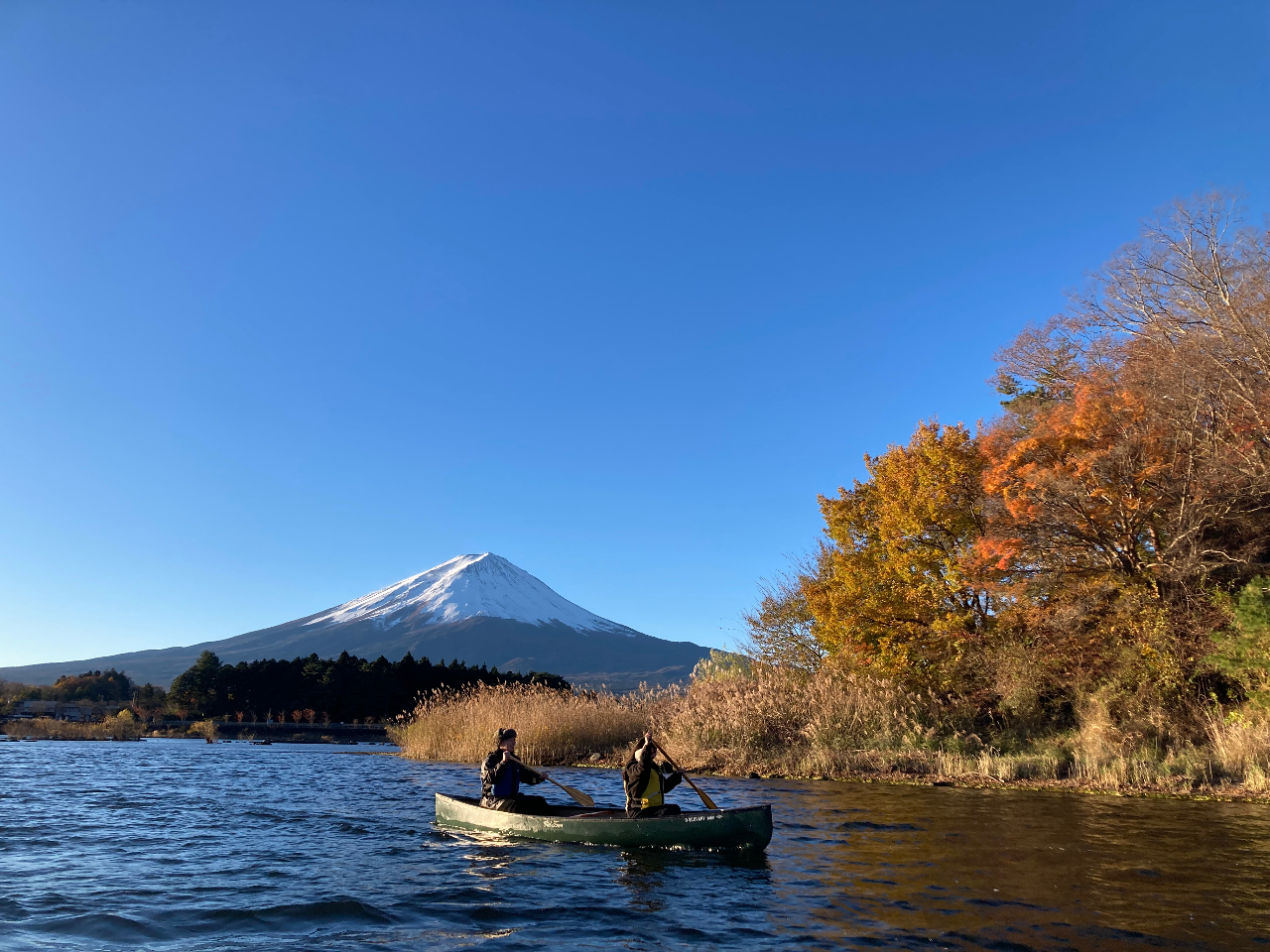 紅葉シーズンは水鳥たちも増えてきます♪自然に触れリラックスして楽しむのも良いです♪