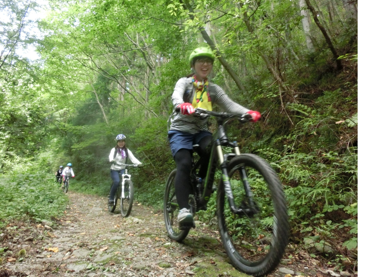 レンタル付きお手軽 ”マウンテンバイク体験 半日ツアー” 自然の中を爽快にライド...