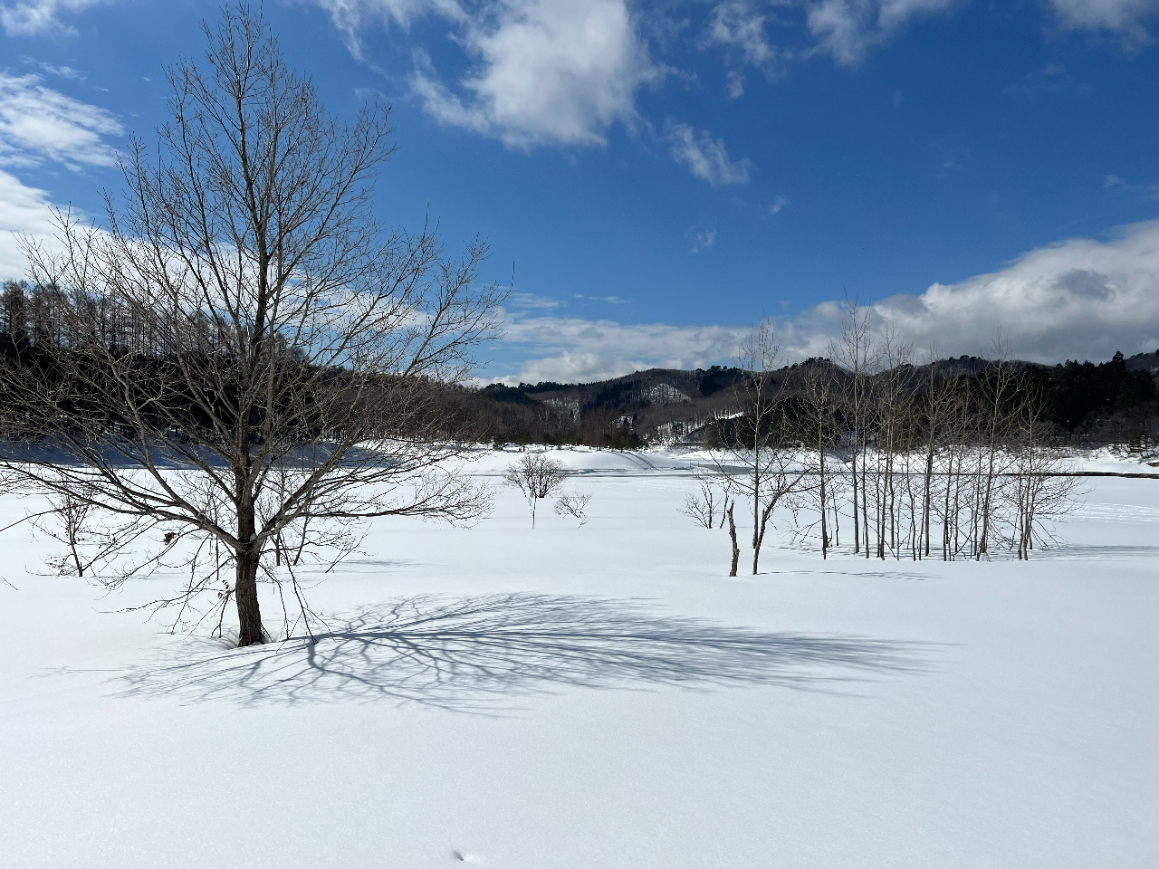 �����������Ȃ������΂̕��i