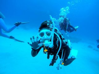 京都市にあるダイビングスクール「鯨庵」です!