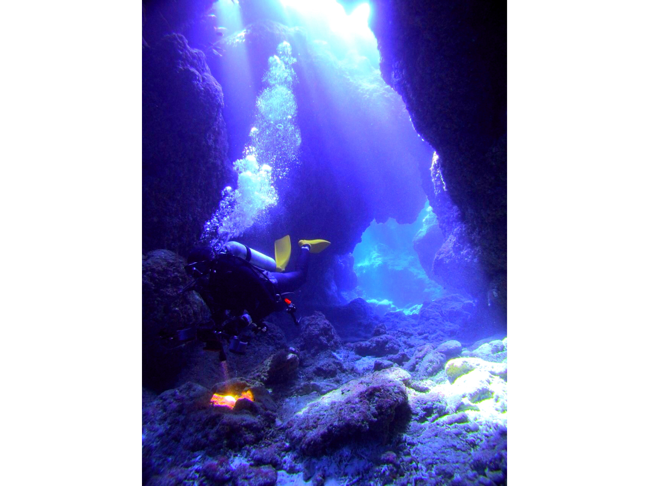 S҂`CZX̕܂ŊeR[XpӂĂ܂