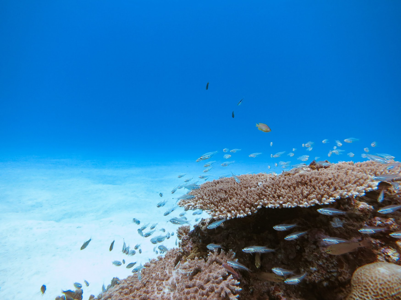 lŌoLxȃCXgN^[Jɂ܂I