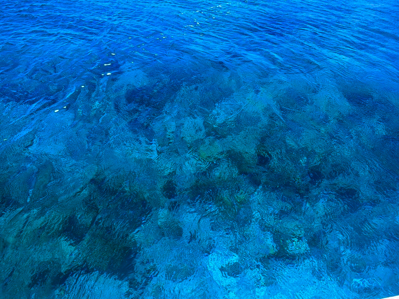 KvȂׂ̂͂ėɊ܂܂Ă܂I