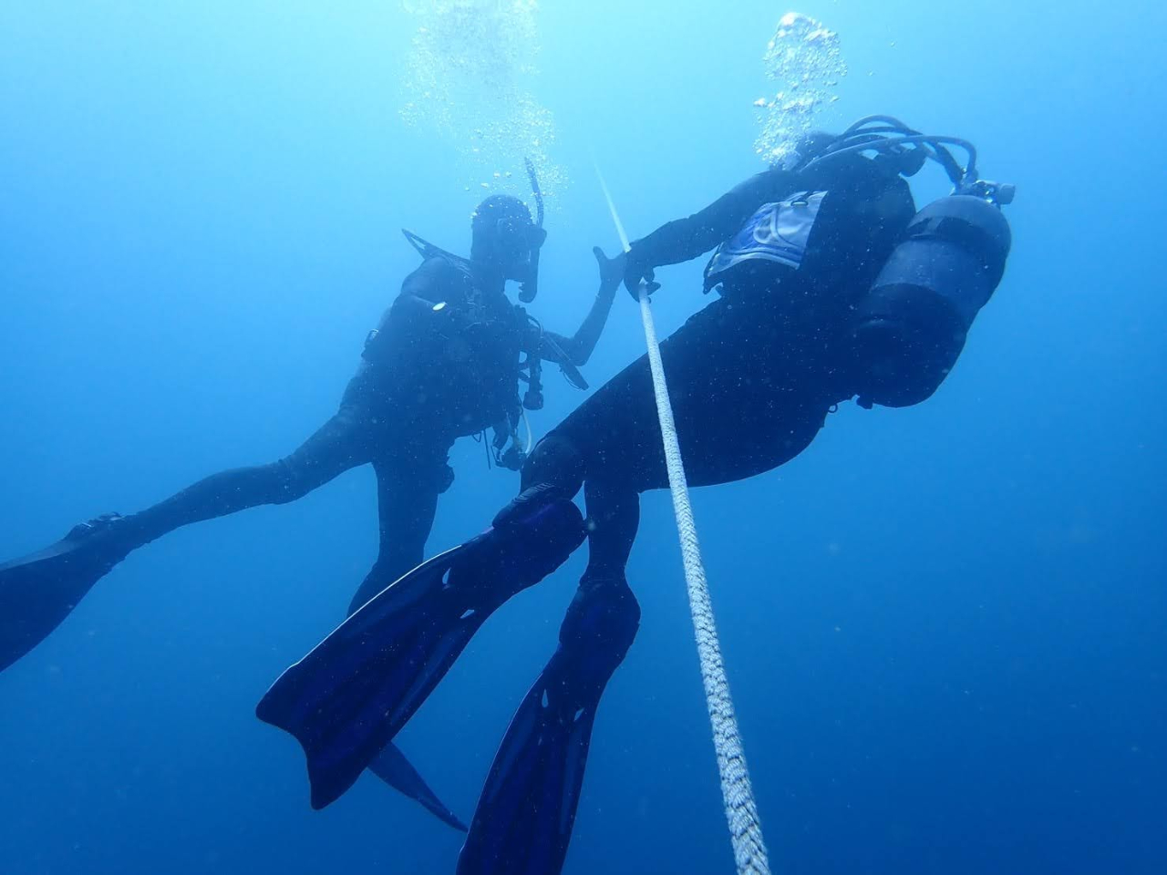 S҂`CZX̕܂ŊeR[XpӂĂ܂