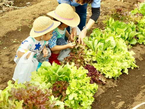 お子様も興味津々!見て触って、食べて味わう体験です。