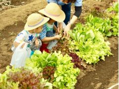 お子様も興味津々!見て触って、食べて味わう体験です。