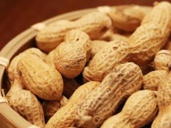 採れたてならではの、ホクホクで甘いゆで落花生。おやつやおつまみにピッタリですよ♪