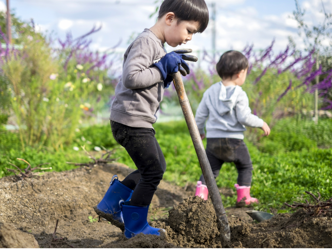 野菜のなり方、育ち方、美味しい野菜の見分け方などを学べます。
