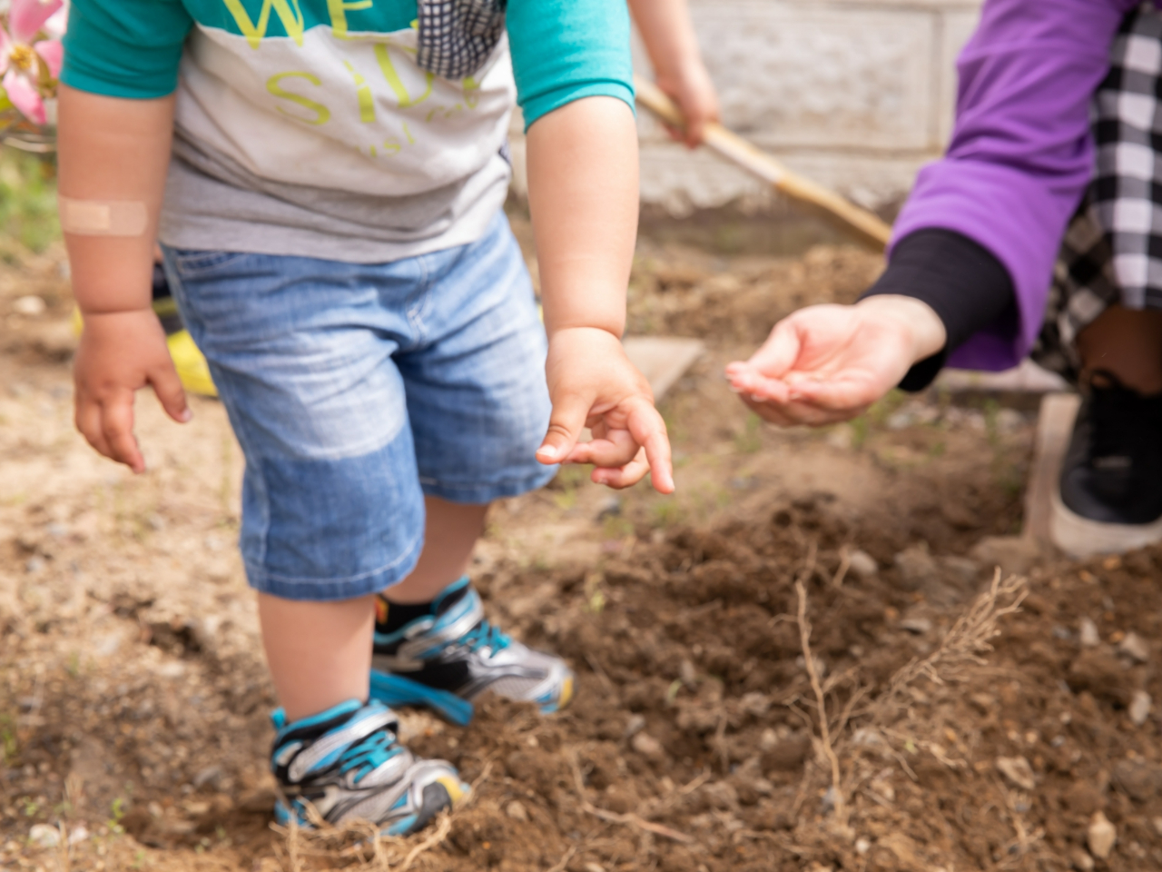 手軽に土・農に触れる体験をしてみませんか?軍手・お持ち帰り用の袋のみご持参ください。