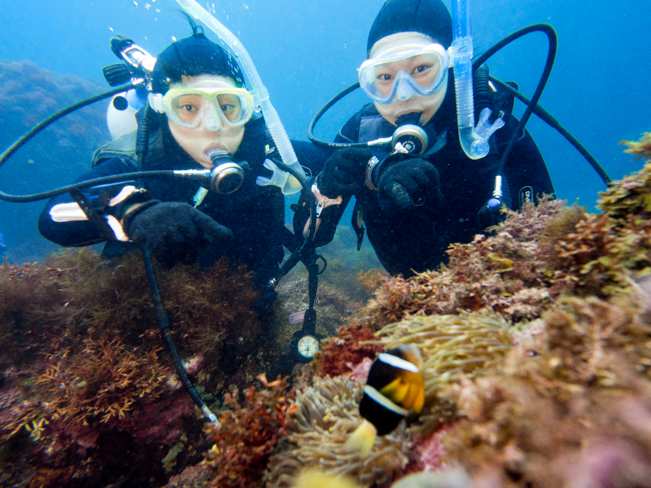 N}m~ƈꏏɃ_CrOyłII