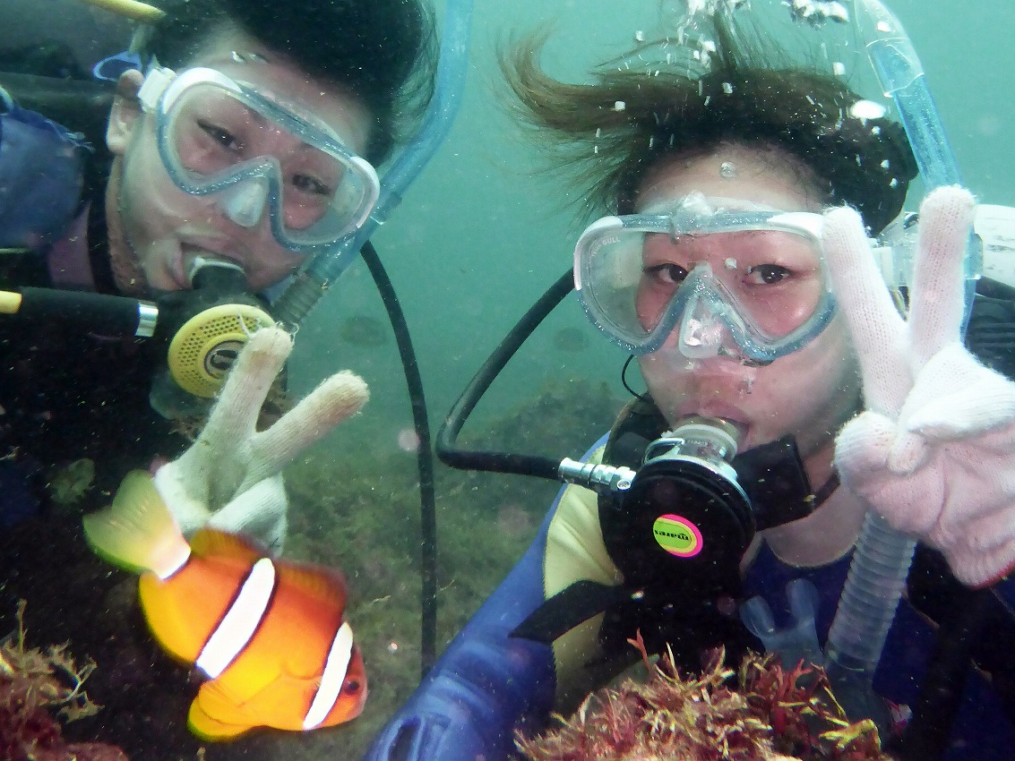 クマノミと一緒にダイビング!ほんとに会えるアイドルです!