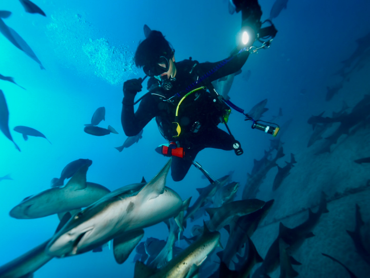 ド迫力!!!!味わいませんか?