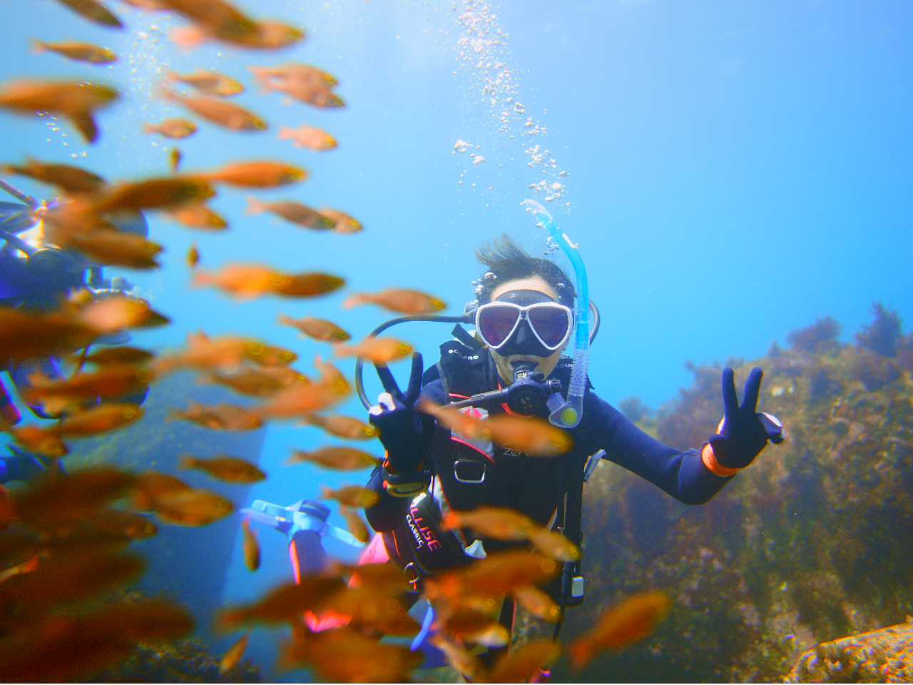 魚の群れも凄い!さらに近づけるからさらにすごい♪