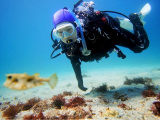 ダイビング始めてみませんか?気軽に通える渋谷に伊豆高原の海がやってきました。