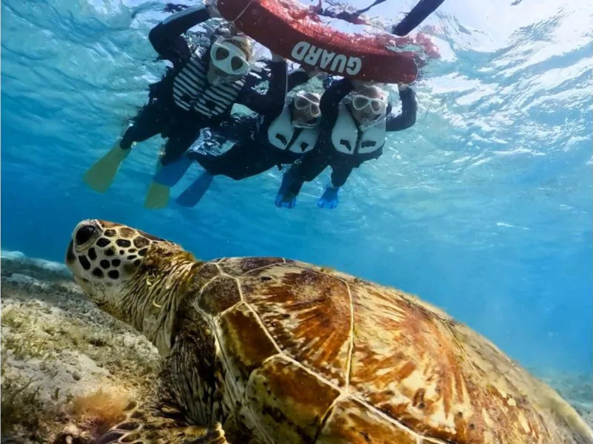 【鹿児島・奄美大島】＜1組限定＞シュノーケリング体験ツアー！ドローン・水中動画撮...