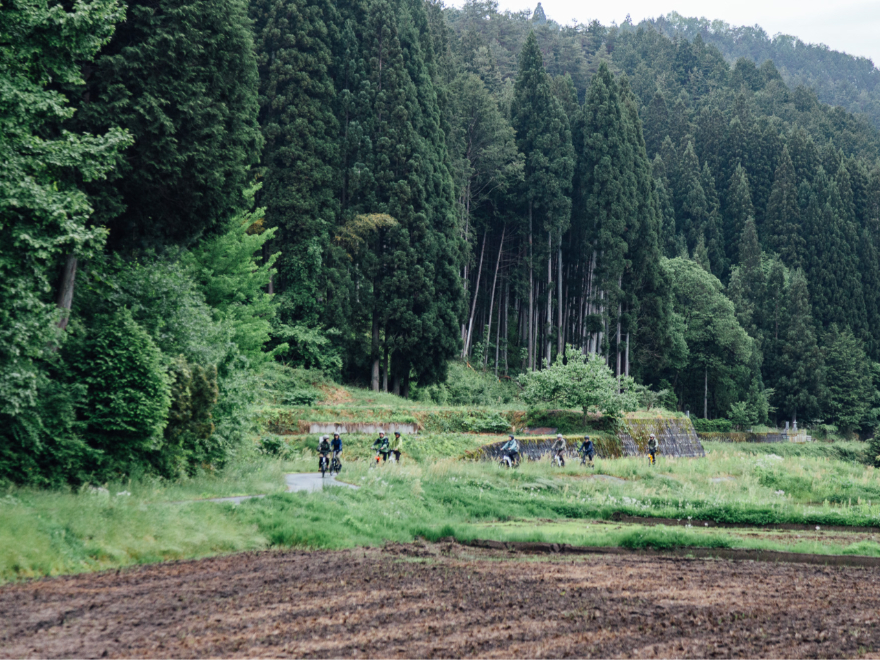 ���}�M���𑖂�܂��I�R��������������A���Ŋ����܂��I