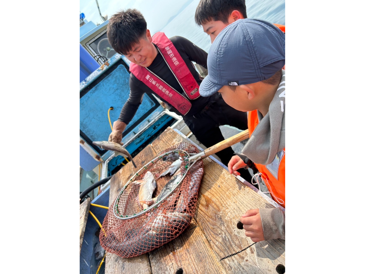 ���̎��Ƃ�����������