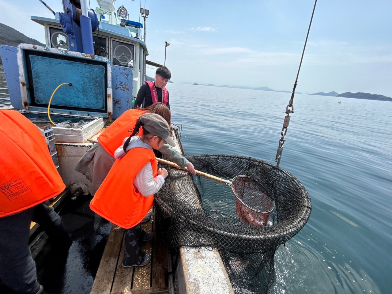 �q�������̖ԏグ�̌���